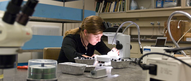 Biological sciences student researching in a lab