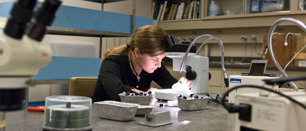 girl researching